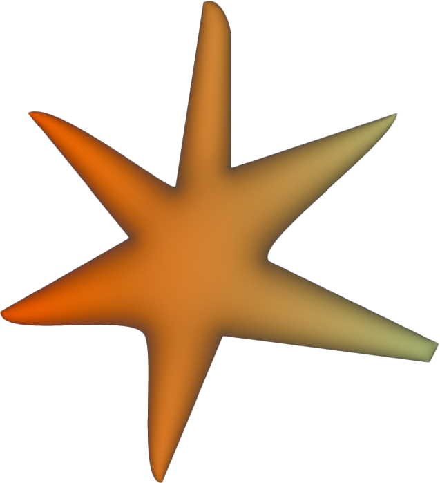 Star decorative brand asset